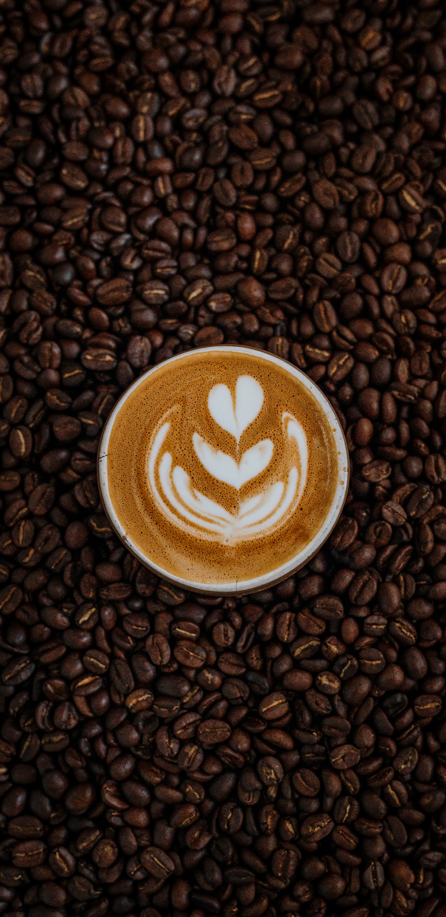 Caffeine, Brown, Food, Single-origin Coffee, Ingredient. Wallpaper in 1440x2960 Resolution