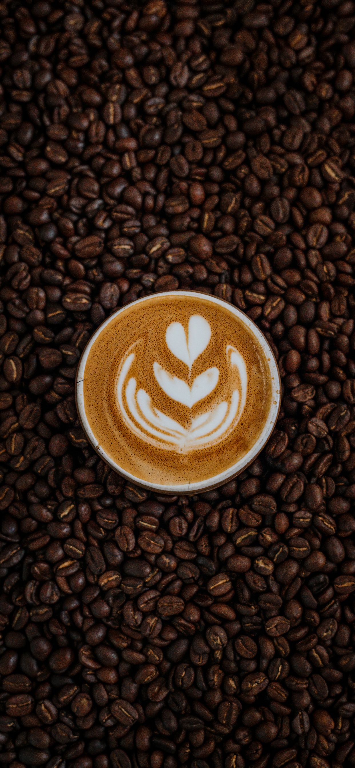 la Cafeína, Morena, Alimento, Solo Café de Origen, Ingrediente. Wallpaper in 1242x2688 Resolution