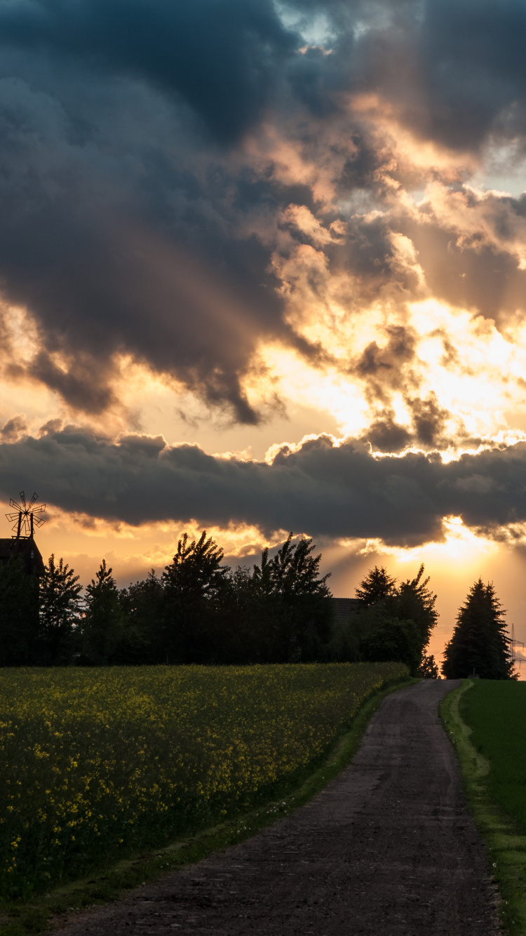 Green Grass Field Under Cloudy Sky During Daytime. Wallpaper in 750x1334 Resolution
