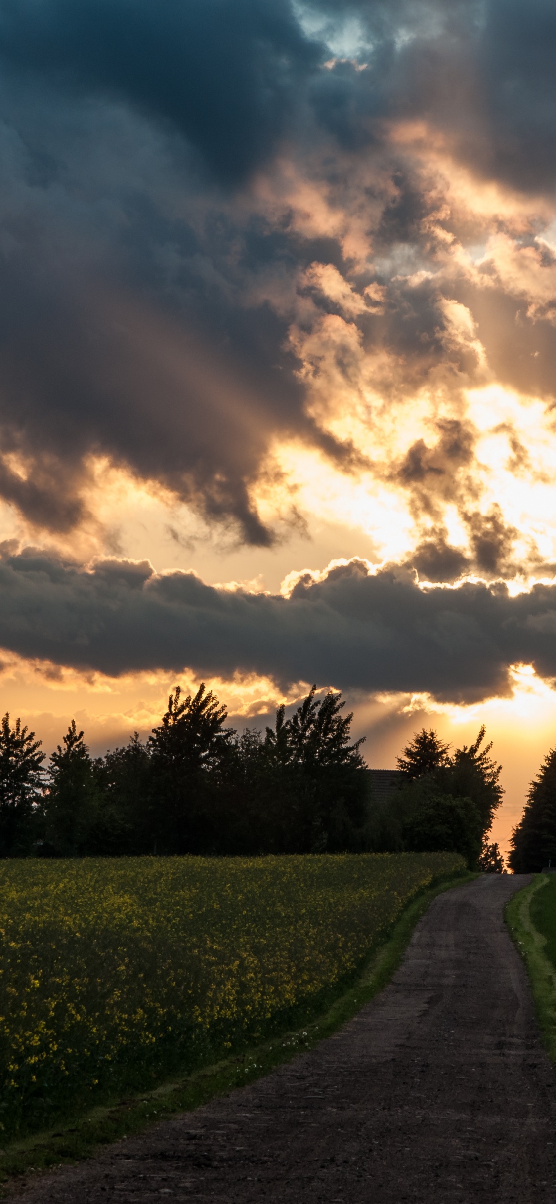 Tagsüber Grüne Wiese Unter Bewölktem Himmel. Wallpaper in 1125x2436 Resolution