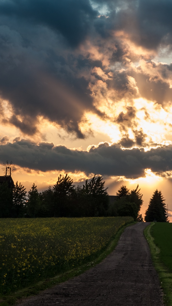 Campo de Hierba Verde Bajo el Cielo Nublado Durante el Día. Wallpaper in 720x1280 Resolution
