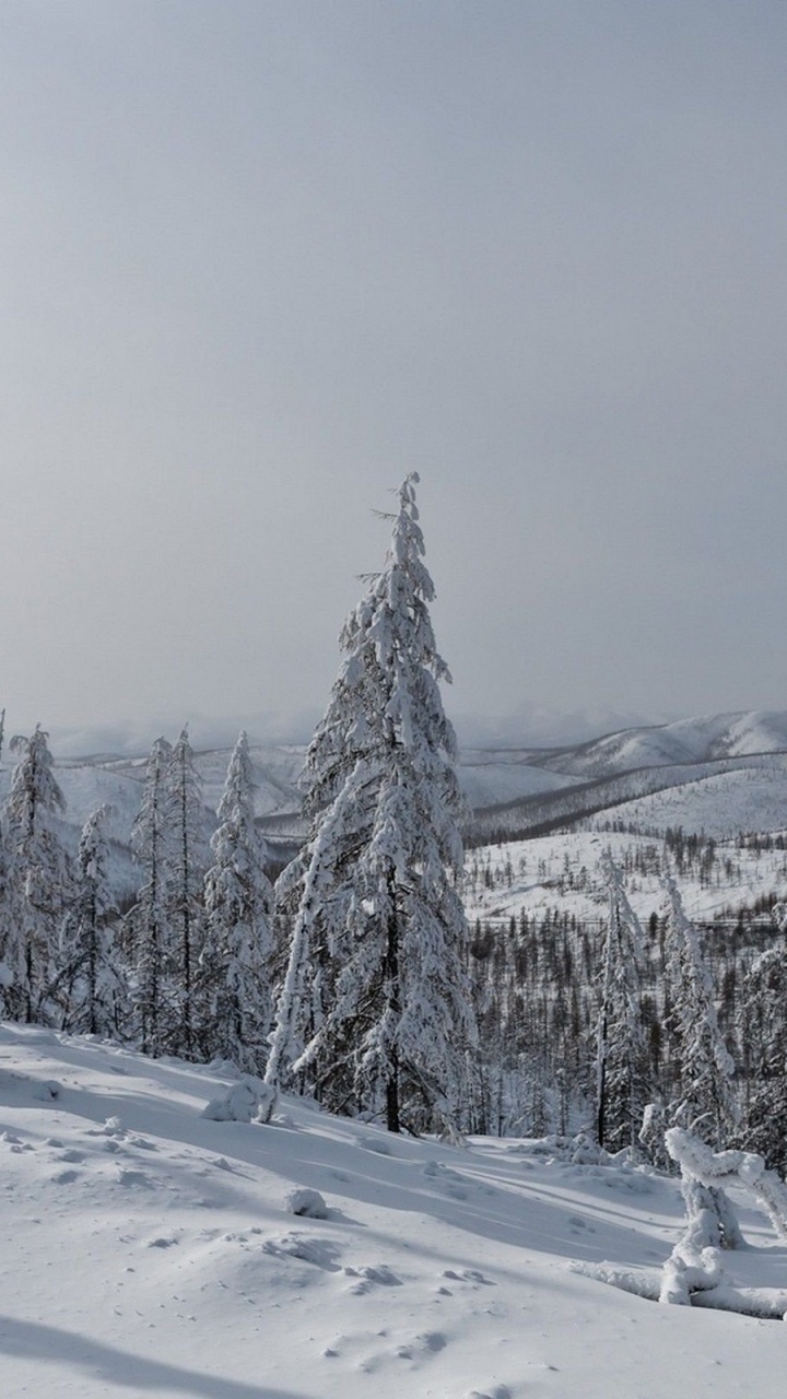 Snow Covered Trees and Mountains During Daytime. Wallpaper in 720x1280 Resolution