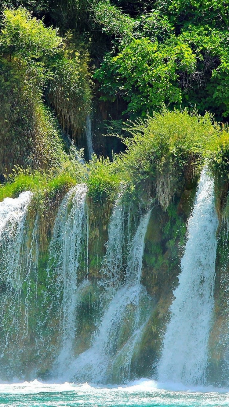 Green Trees Beside Waterfalls During Daytime. Wallpaper in 750x1334 Resolution