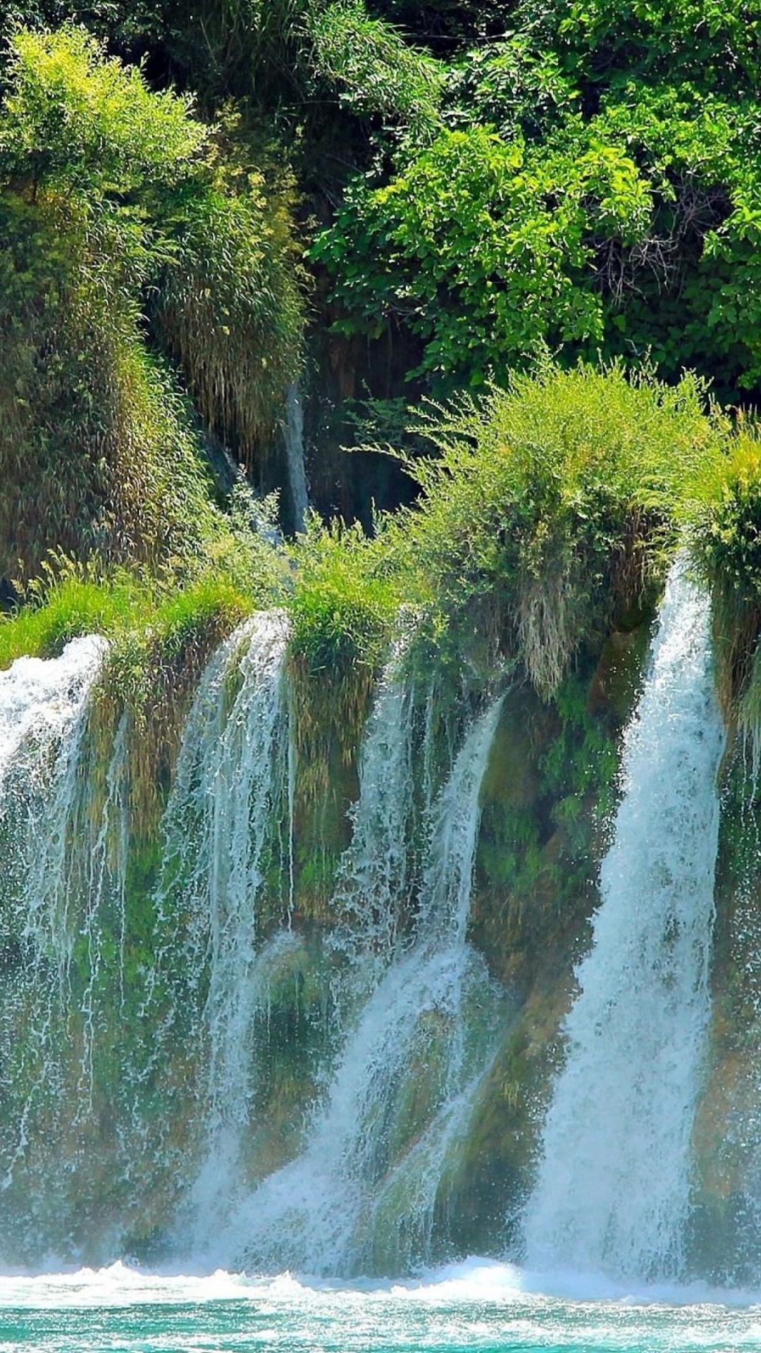 Tagsüber Grüne Bäume Neben Wasserfällen. Wallpaper in 1080x1920 Resolution