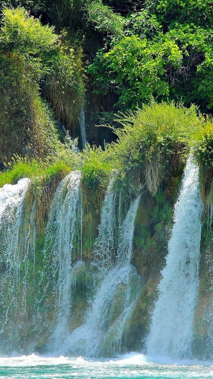 Tagsüber Grüne Bäume Neben Wasserfällen. Wallpaper in 720x1280 Resolution
