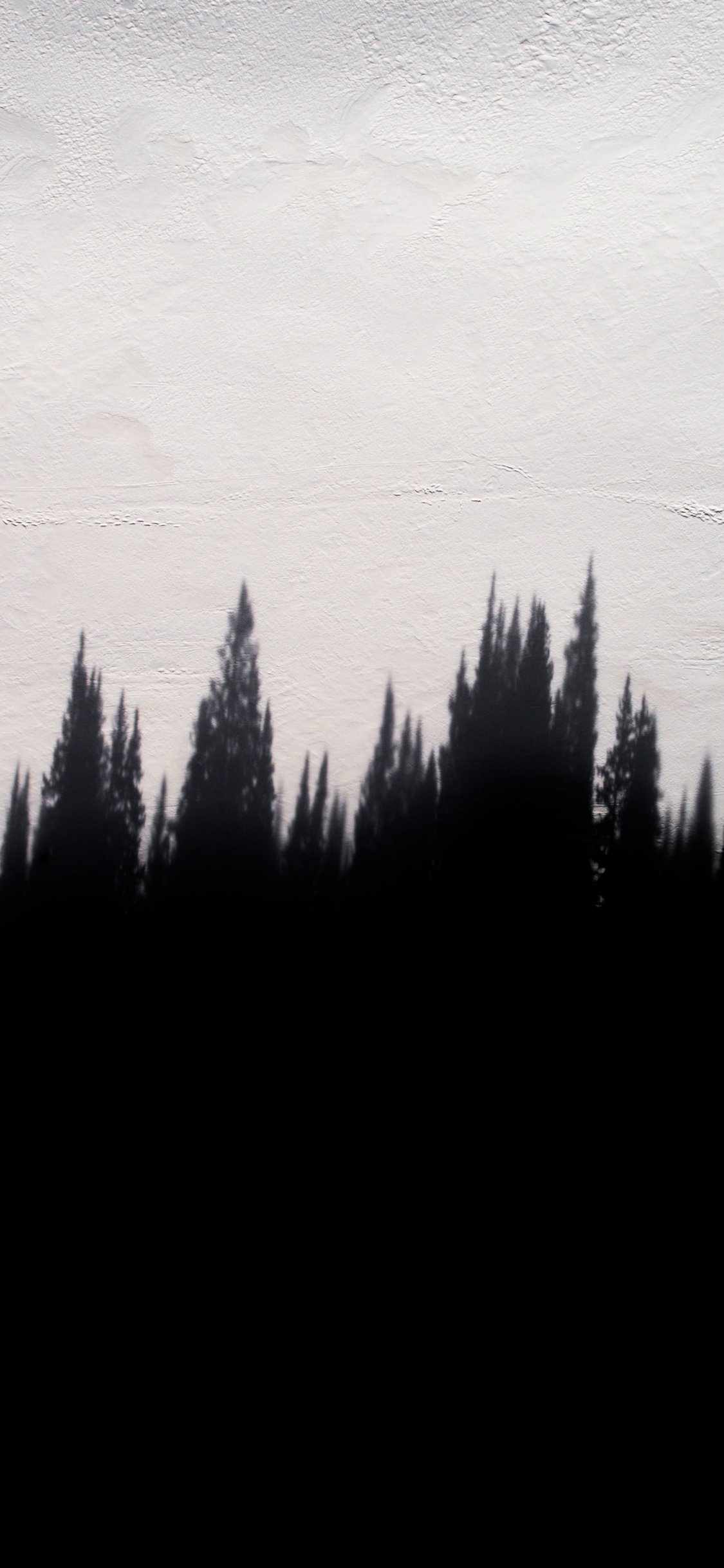 Silueta de Árboles Durante el Día. Wallpaper in 1125x2436 Resolution