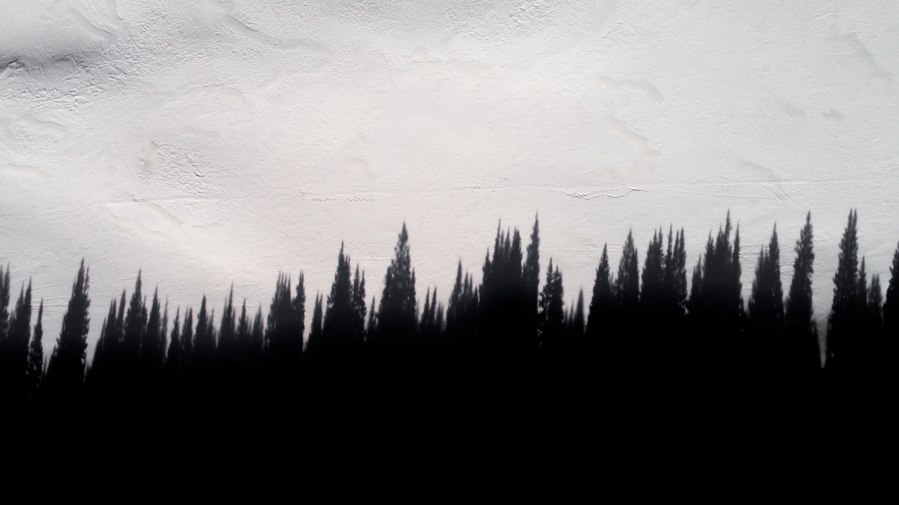 Silueta de Árboles Durante el Día. Wallpaper in 1280x720 Resolution