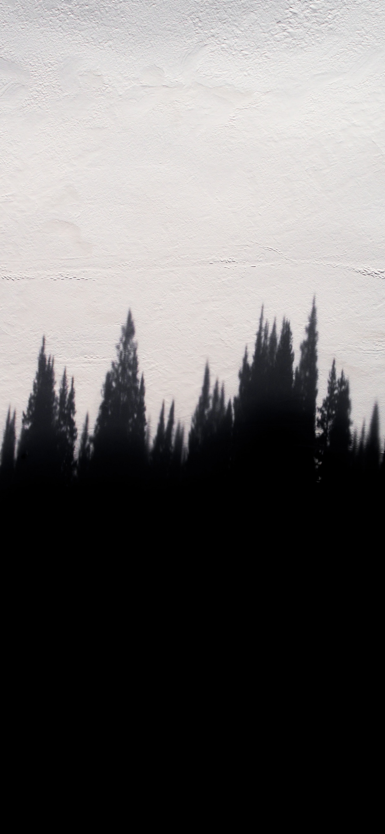 Silhouette of Trees During Daytime. Wallpaper in 1242x2688 Resolution