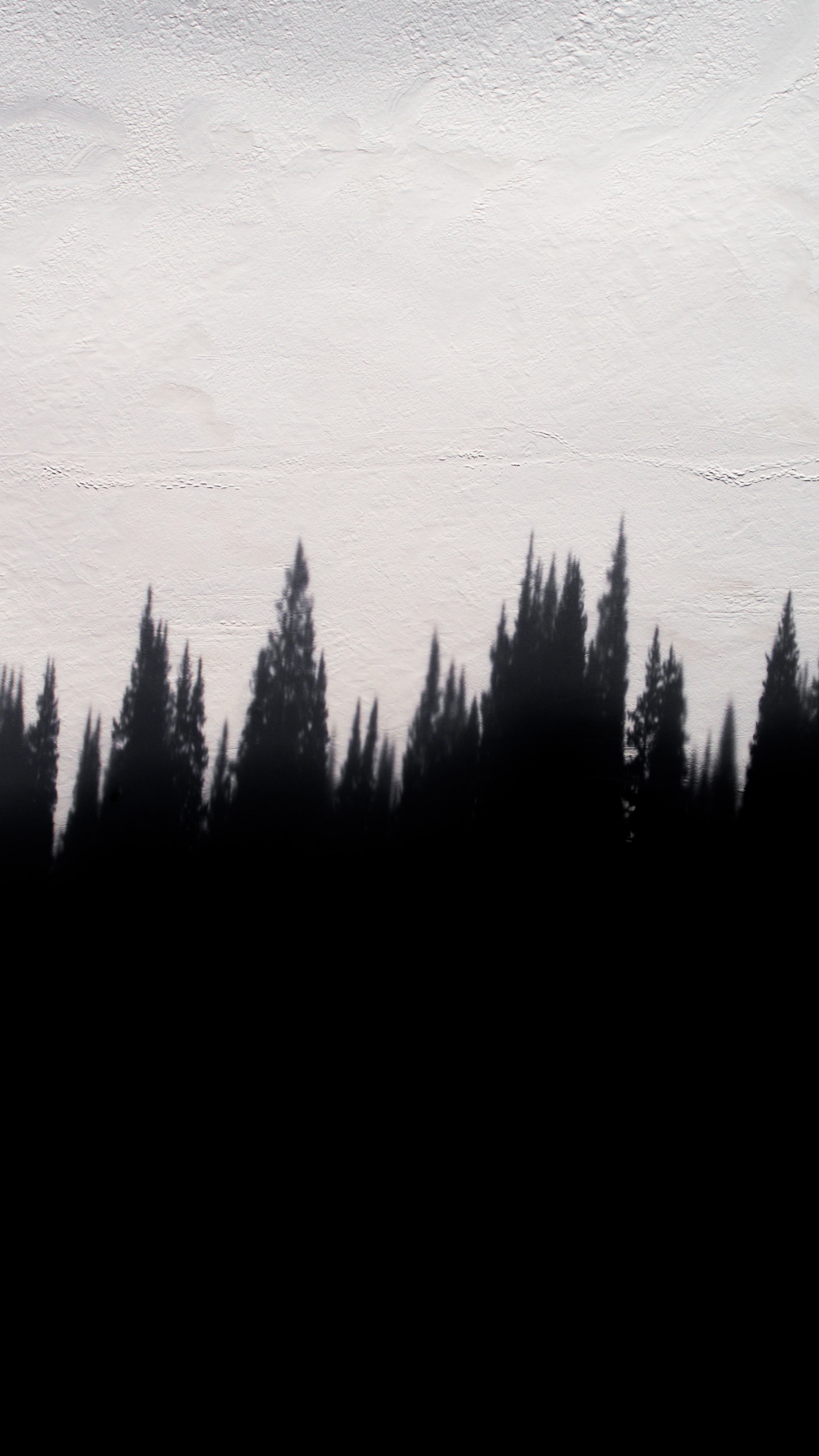 Silhouette of Trees During Daytime. Wallpaper in 1440x2560 Resolution