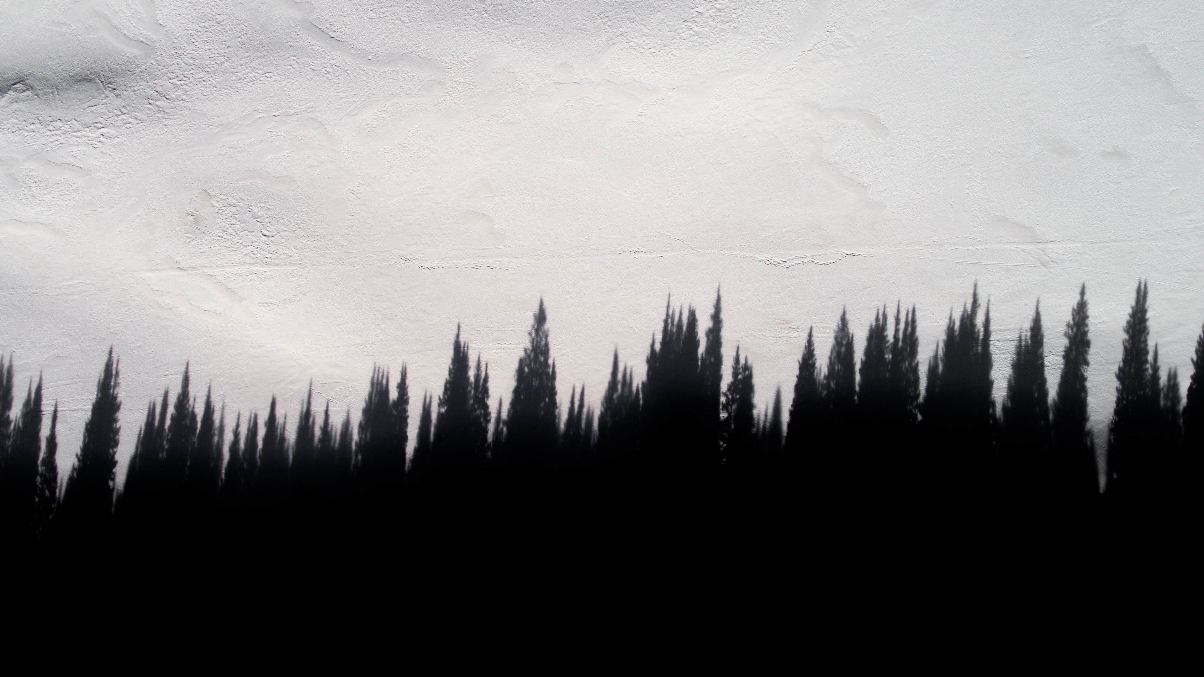 Silhouette of Trees During Daytime. Wallpaper in 3840x2160 Resolution