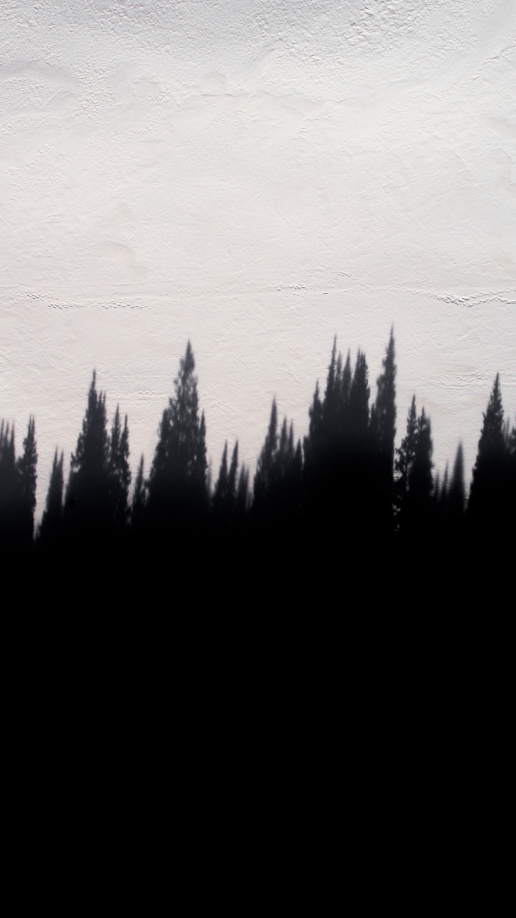 Silhouette of Trees During Daytime. Wallpaper in 750x1334 Resolution