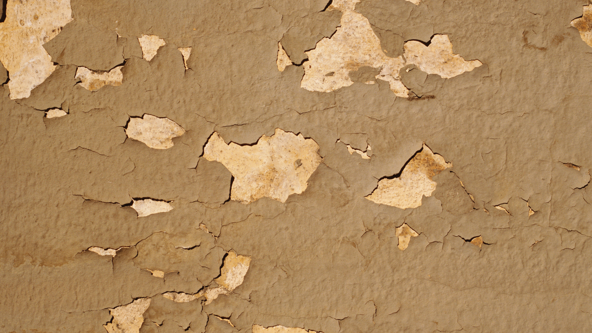 Braune Und Weiße Betonwand. Wallpaper in 1920x1080 Resolution