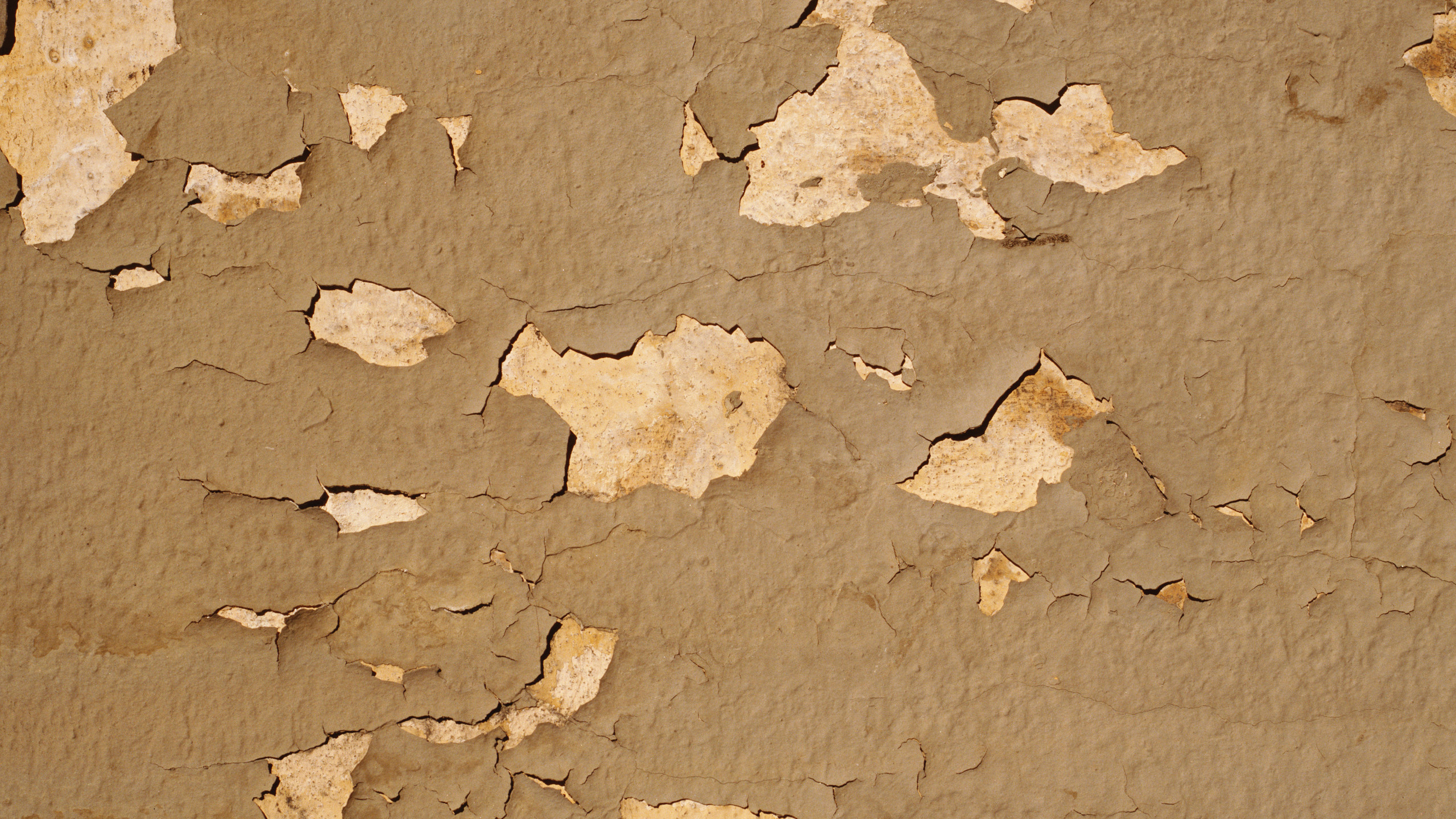 Muro de Hormigón Marrón y Blanco. Wallpaper in 2560x1440 Resolution