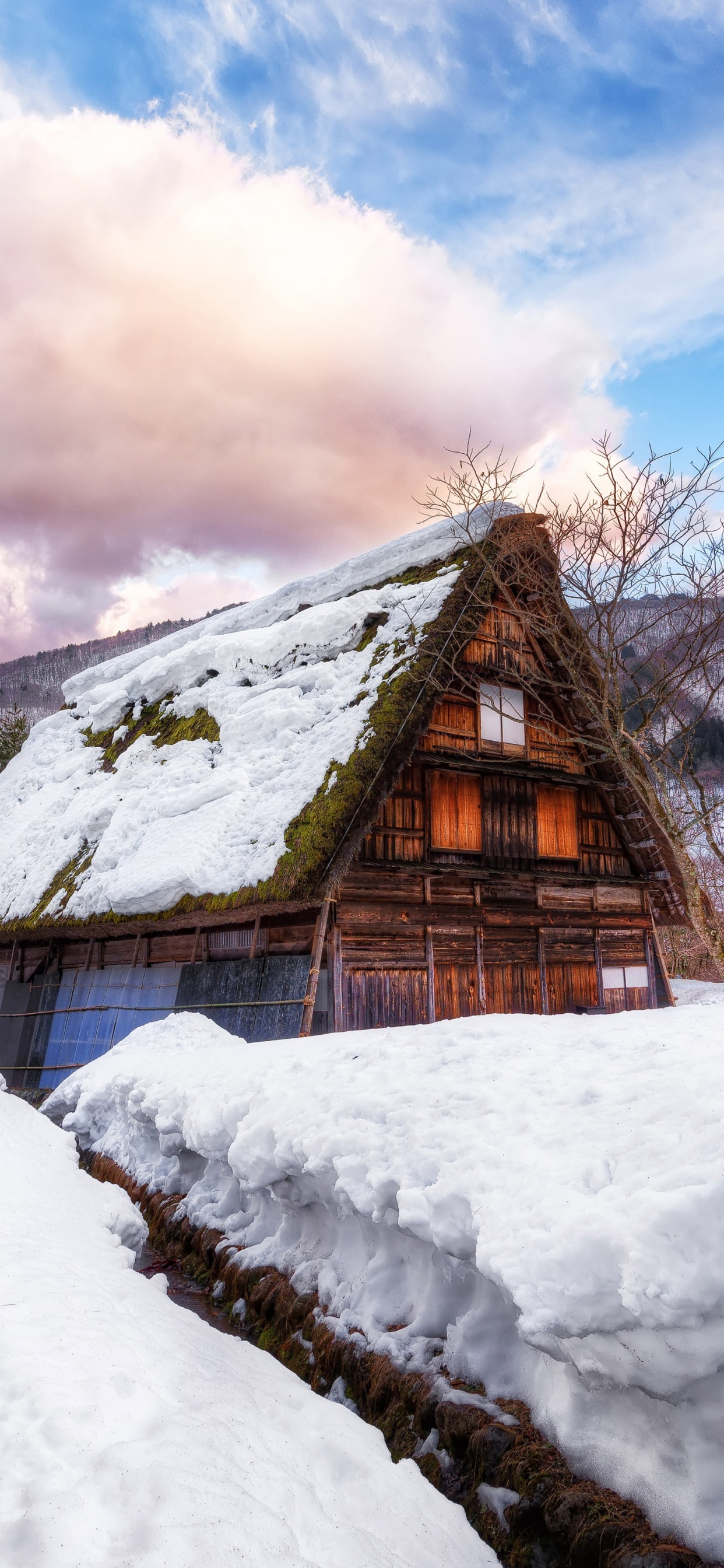 Maison en Bois Marron Sur un Sol Couvert de Neige Sous Des Nuages Blancs et un Ciel Bleu Pendant la Journée. Wallpaper in 1242x2688 Resolution