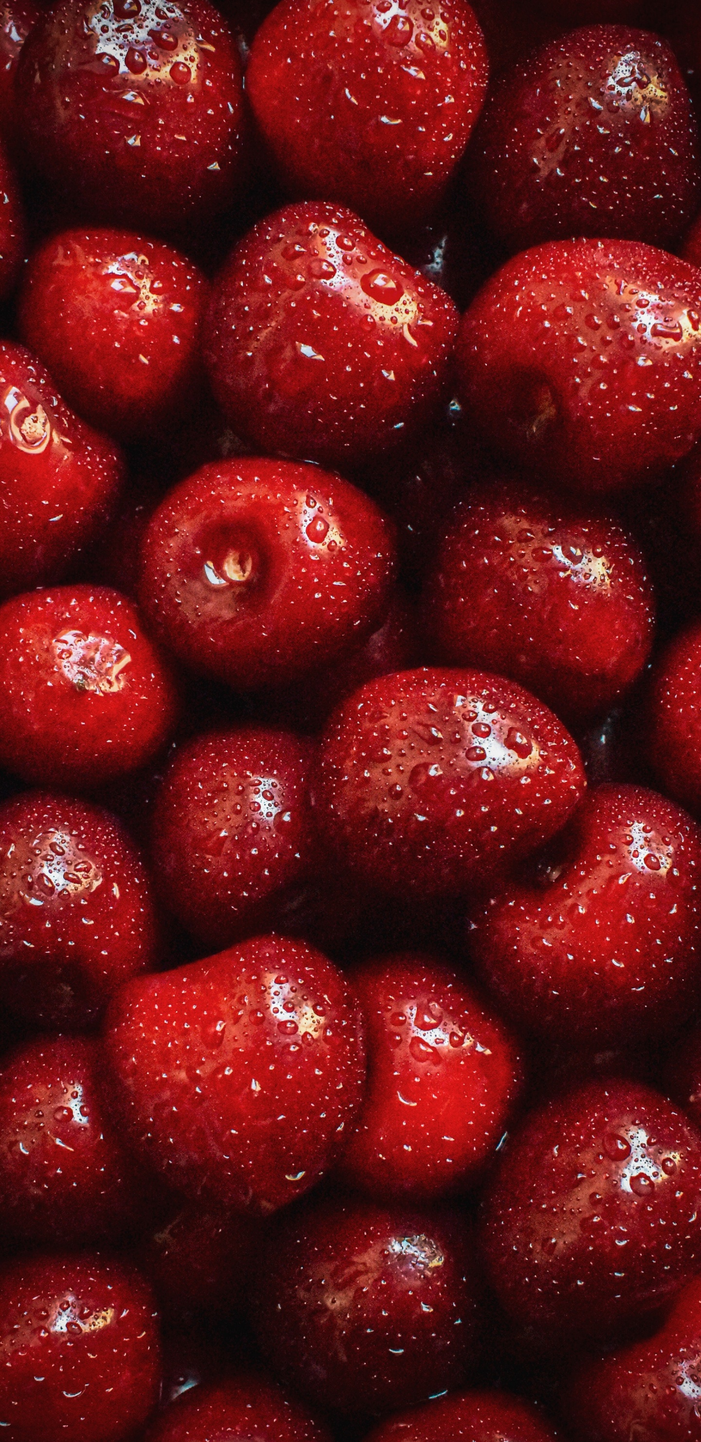 Redmi Note 8 Pro, Food, Plant, Fruit, Ingredient. Wallpaper in 1440x2960 Resolution