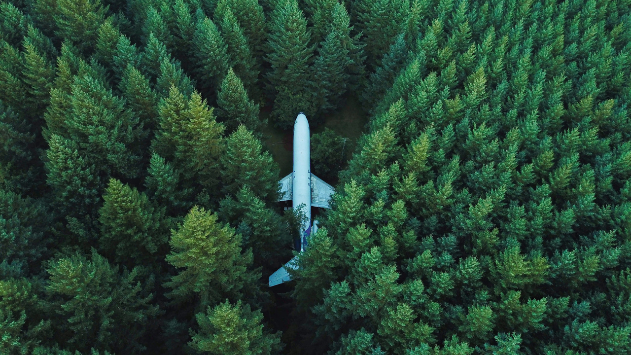 White Plane on Mid Air Over Green Pine Trees During Daytime. Wallpaper in 1280x720 Resolution