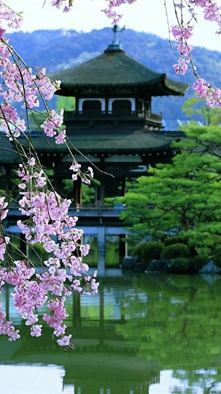 Brown and Black House Near Body of Water. Wallpaper in 750x1334 Resolution