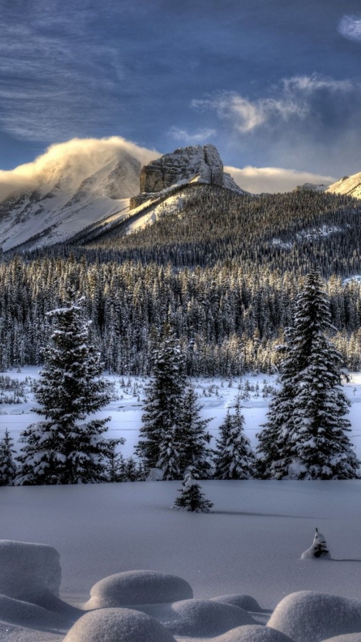 Snow Covered Pine Trees and Mountains During Daytime. Wallpaper in 720x1280 Resolution