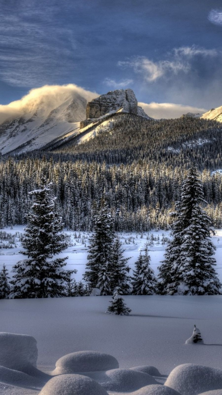 Snow Covered Pine Trees and Mountains During Daytime. Wallpaper in 750x1334 Resolution