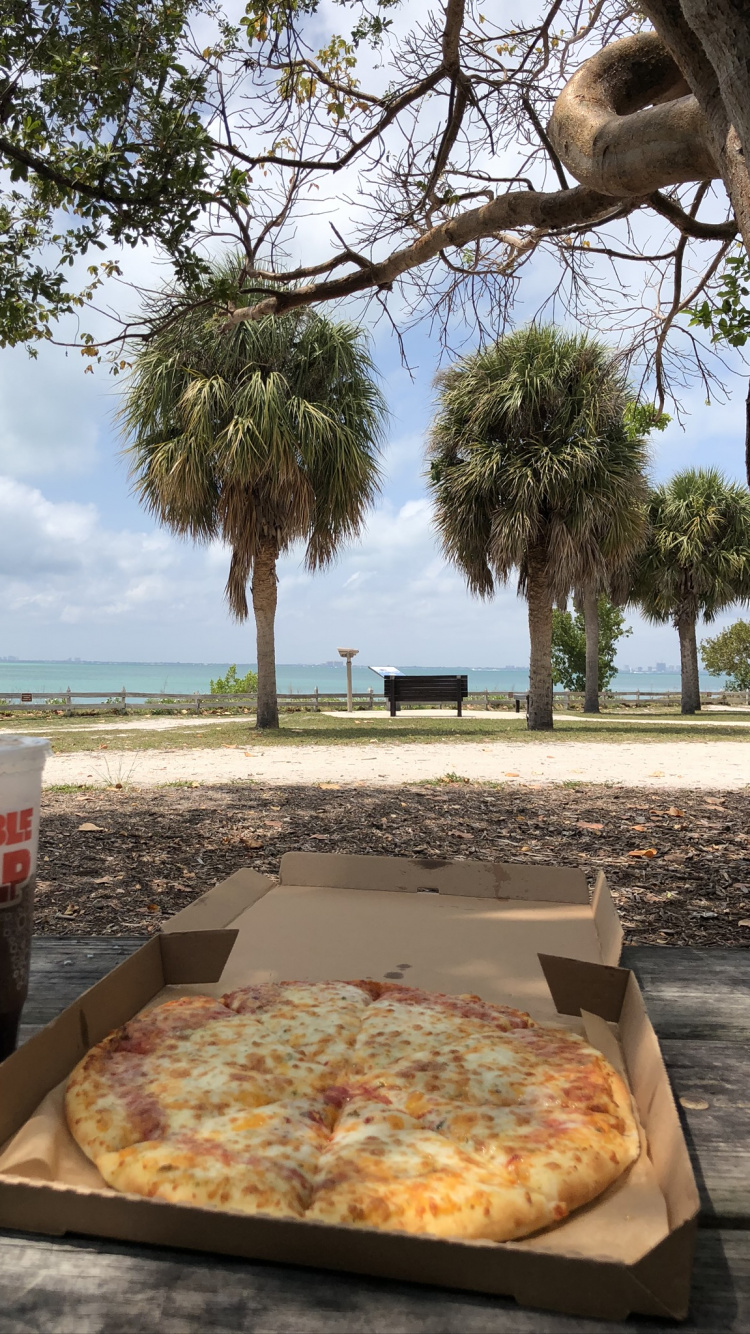 Tree, Science, Biology, Food, Pizza. Wallpaper in 750x1334 Resolution