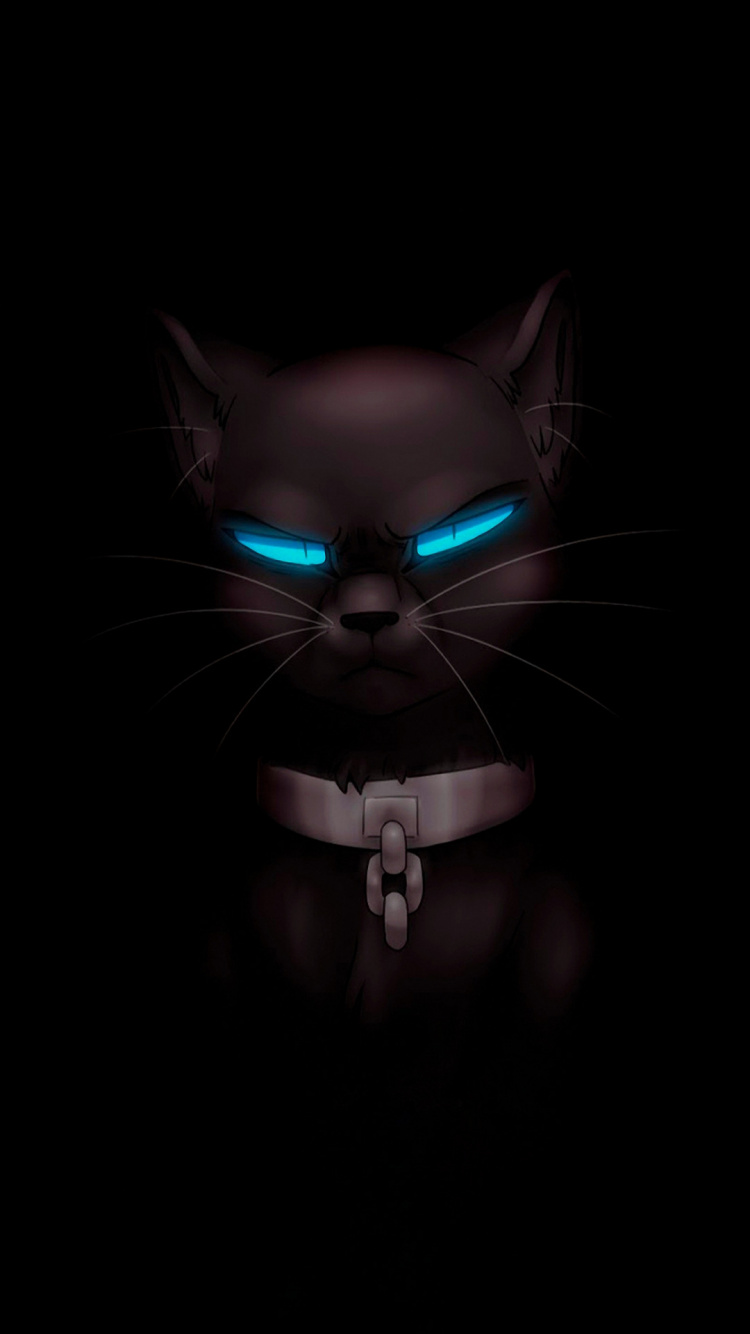 Black Cat, Cat, Whiskers, Cat-like, Felidae. Wallpaper in 750x1334 Resolution