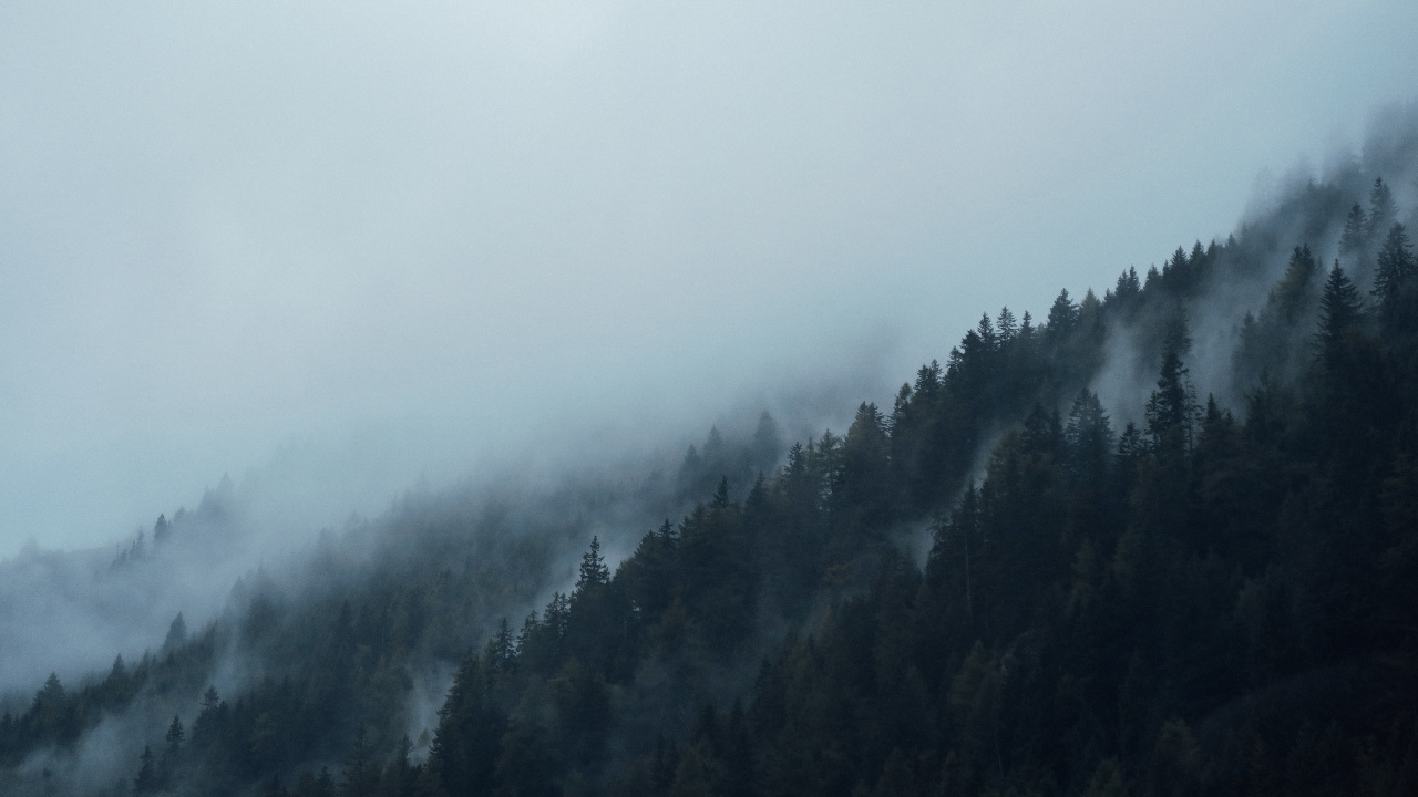 雾, 阴霾, 多山的地貌, 气氛, 针叶树 壁纸 1280x720 允许
