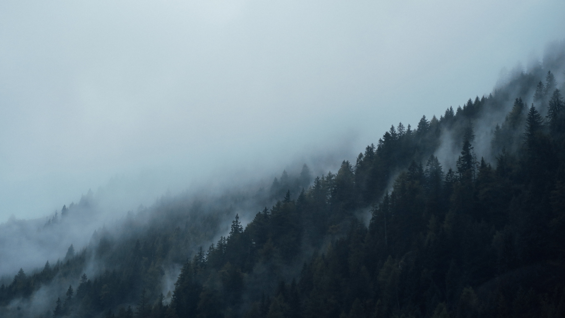 雾, 阴霾, 多山的地貌, 气氛, 针叶树 壁纸 1920x1080 允许