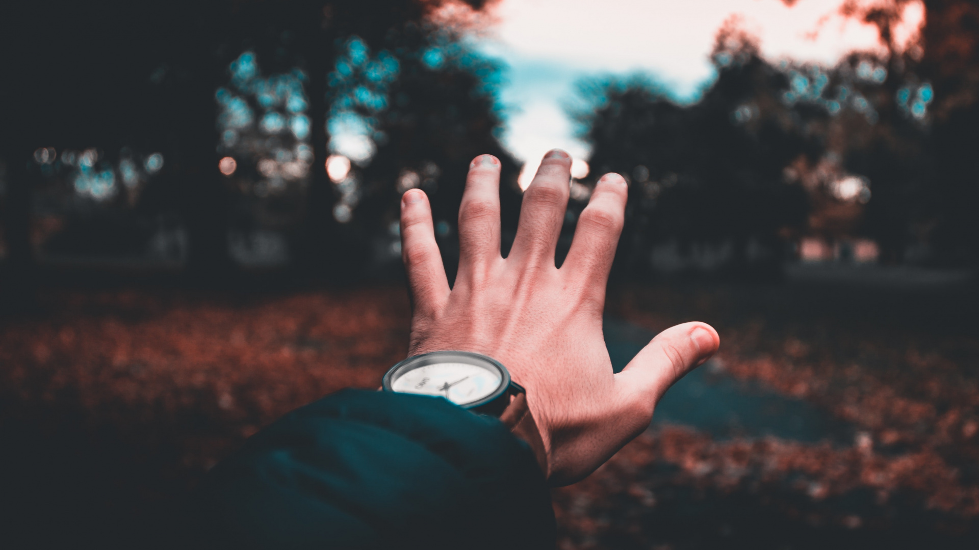 Person in Black Long Sleeve Shirt Raising Left Hand. Wallpaper in 1920x1080 Resolution