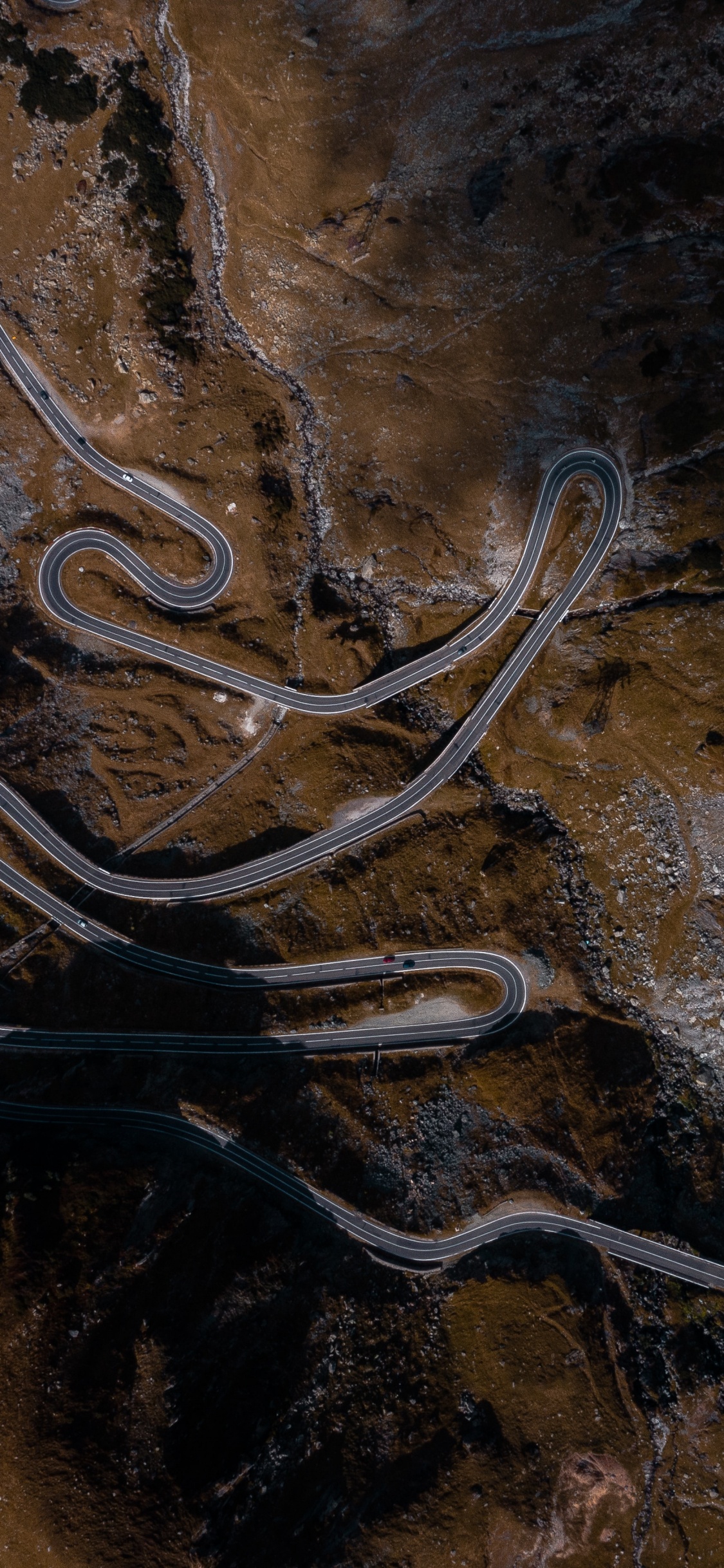 棕色, 木, 地质学, 艺术, 关闭了 壁纸 1125x2436 允许