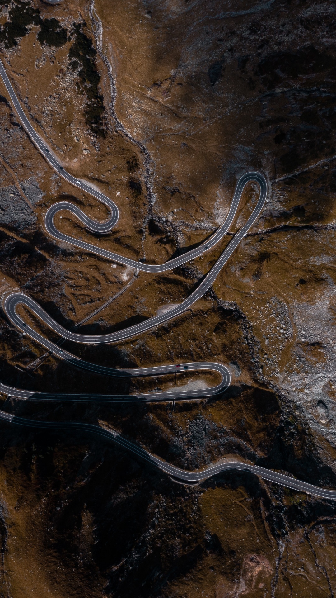 Morena, Madera, Geología, Arte, Rey. Wallpaper in 1080x1920 Resolution