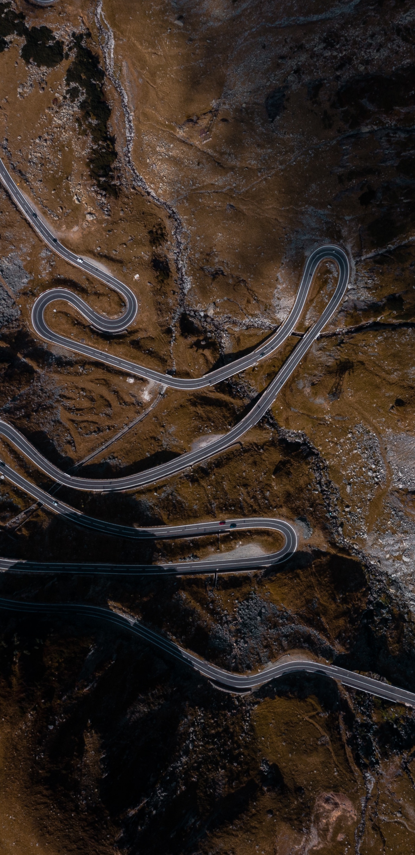 Morena, Madera, Geología, Arte, Rey. Wallpaper in 1440x2960 Resolution