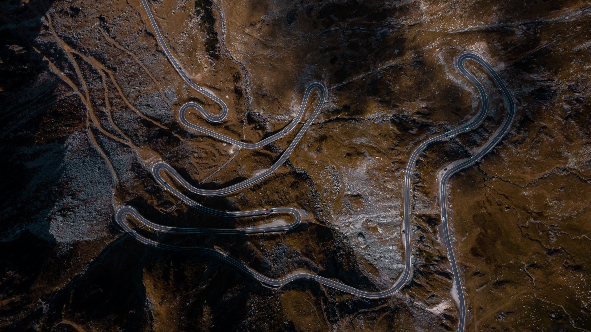 Morena, Madera, Geología, Arte, Rey. Wallpaper in 1920x1080 Resolution