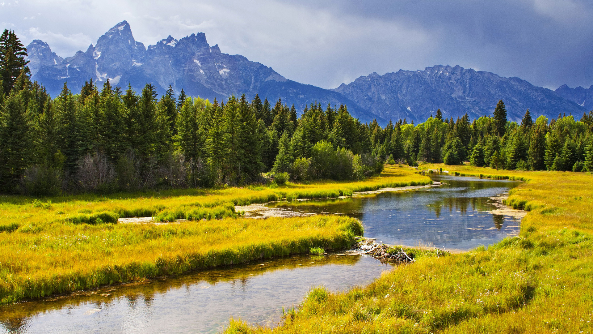 Green Trees Near Lake During Daytime. Wallpaper in 1920x1080 Resolution