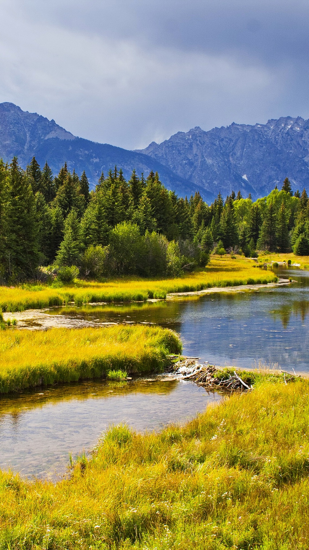 Grüne Bäume in Der Nähe Des Sees Tagsüber Lake. Wallpaper in 1080x1920 Resolution