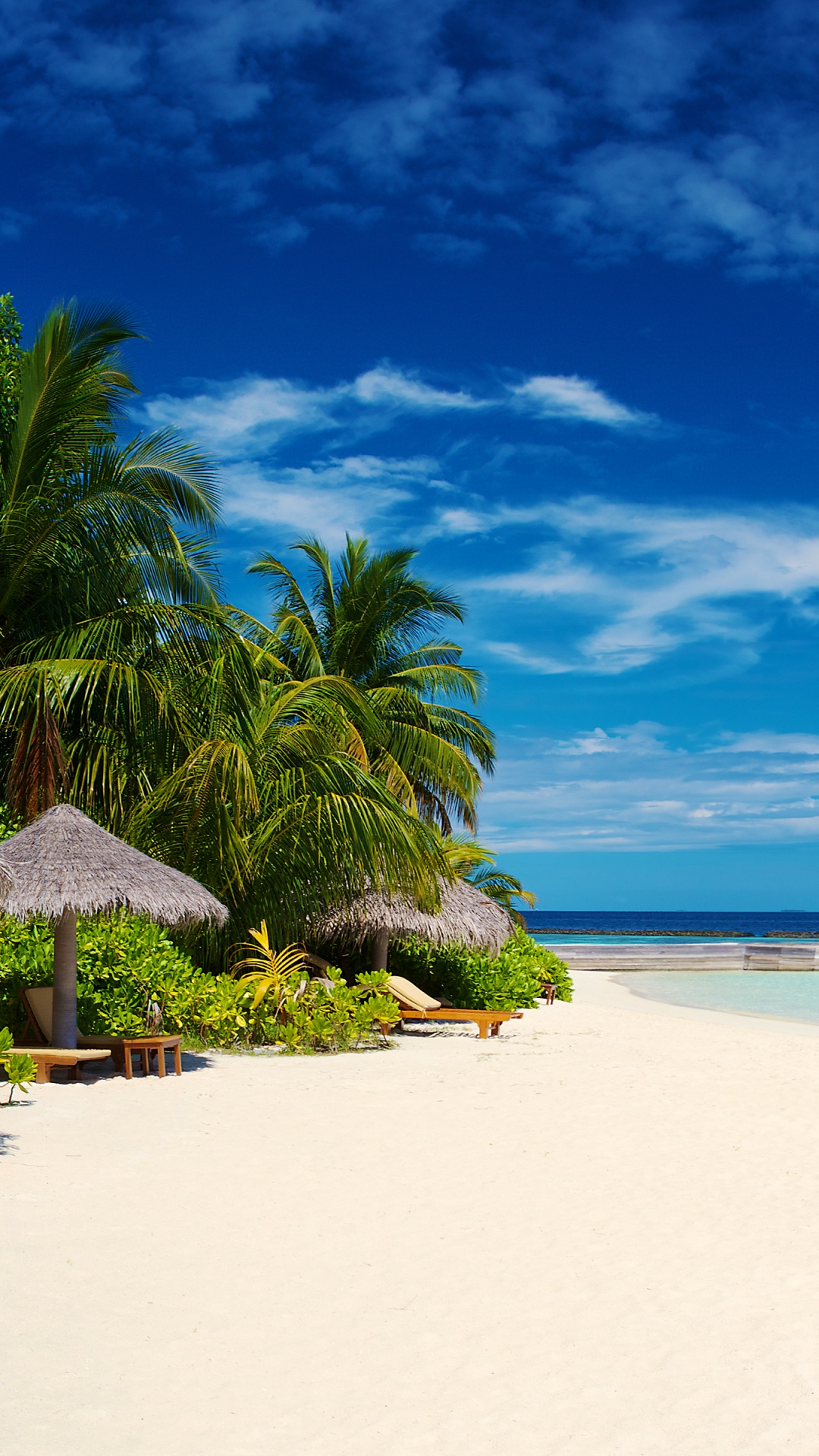Green Palm Tree on White Sand Beach During Daytime. Wallpaper in 1080x1920 Resolution