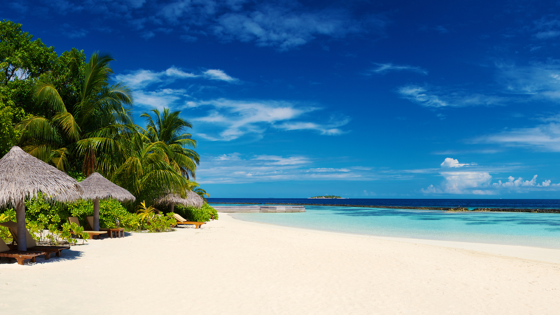 Green Palm Tree on White Sand Beach During Daytime. Wallpaper in 1920x1080 Resolution