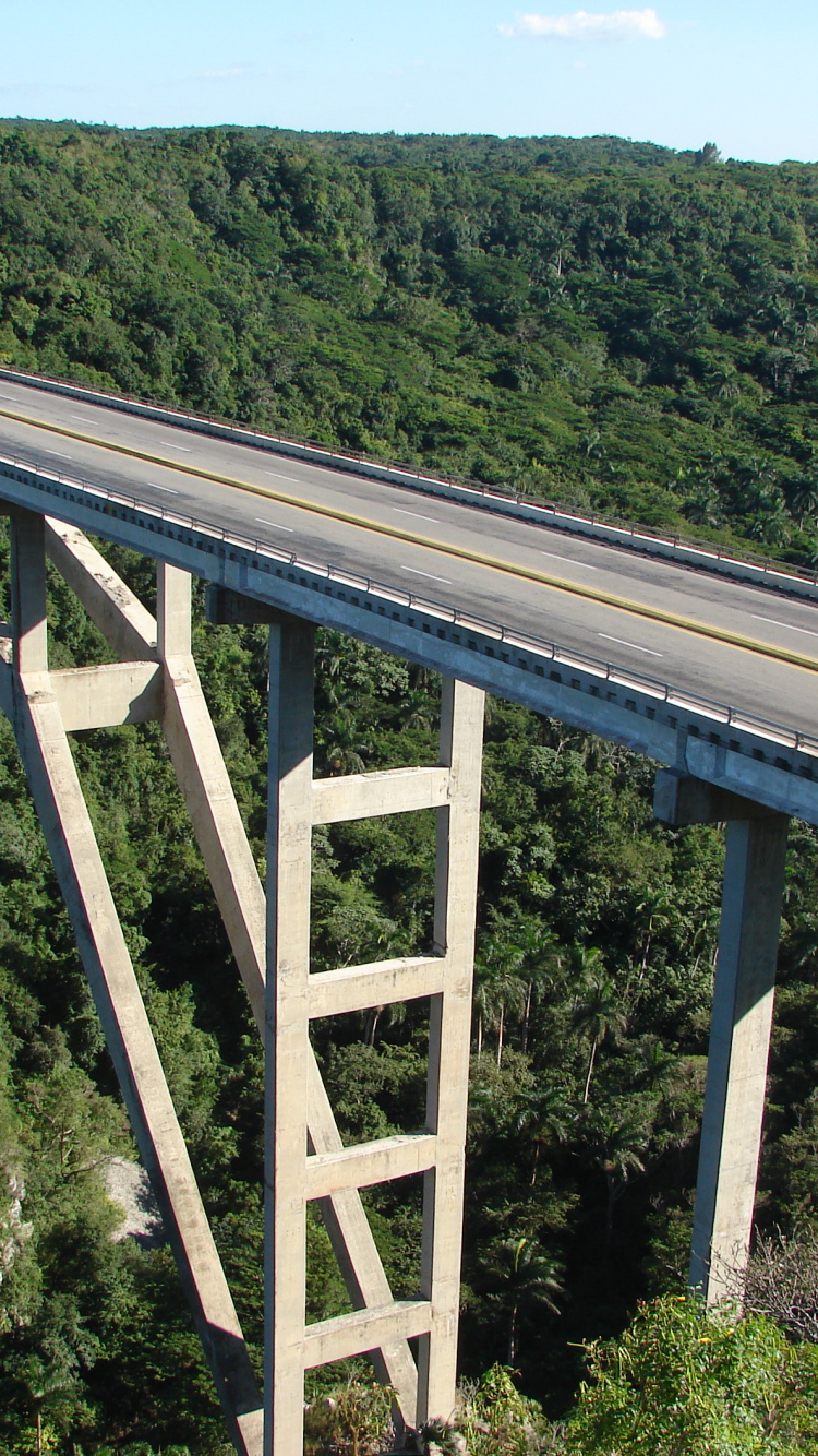 Puente de Metal Blanco Sobre Árboles Verdes Durante el Día. Wallpaper in 750x1334 Resolution