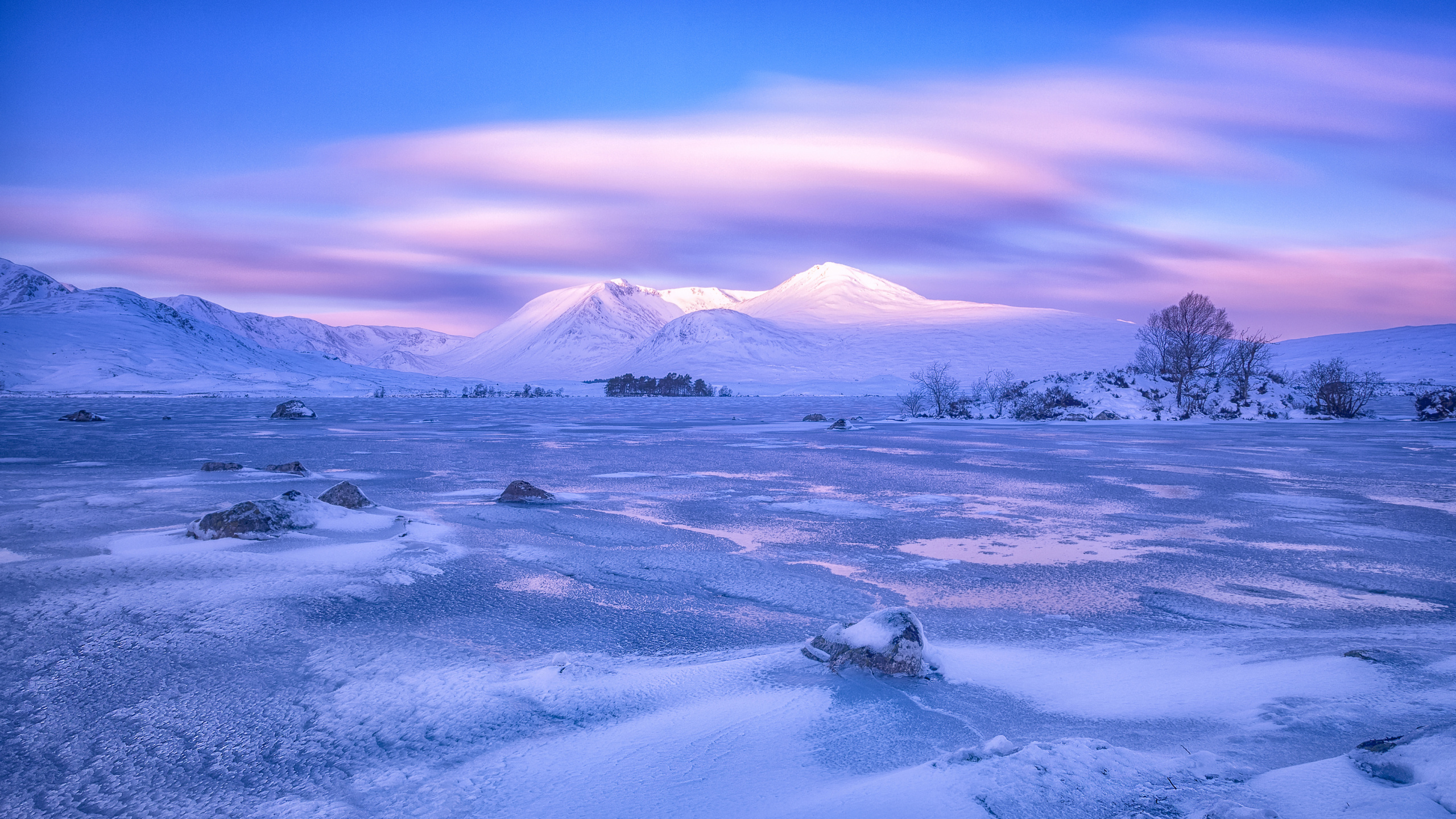 Campo Cubierto de Nieve Bajo un Cielo Azul Durante el Día. Wallpaper in 2560x1440 Resolution
