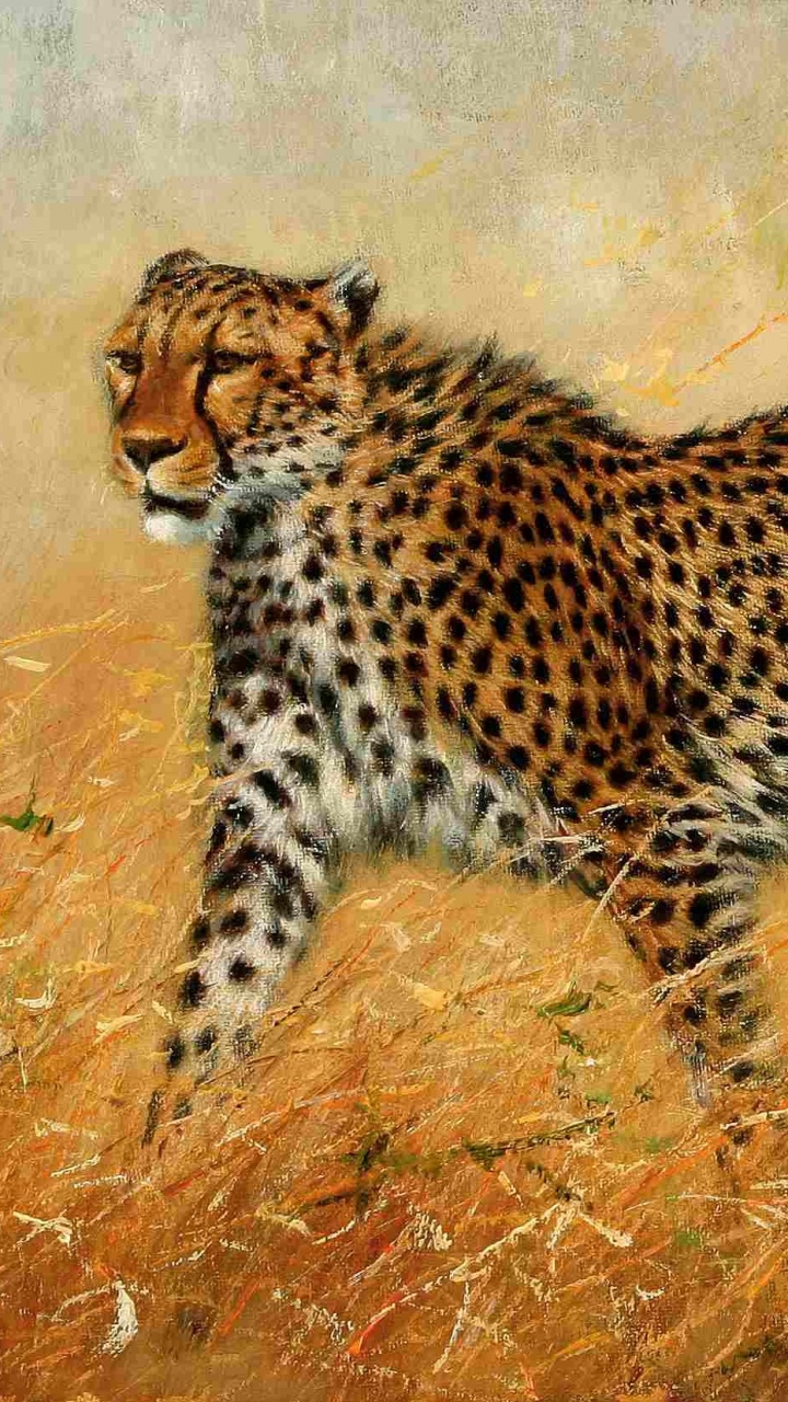 Guépard Sur Terrain D'herbe Brune Pendant la Journée. Wallpaper in 720x1280 Resolution