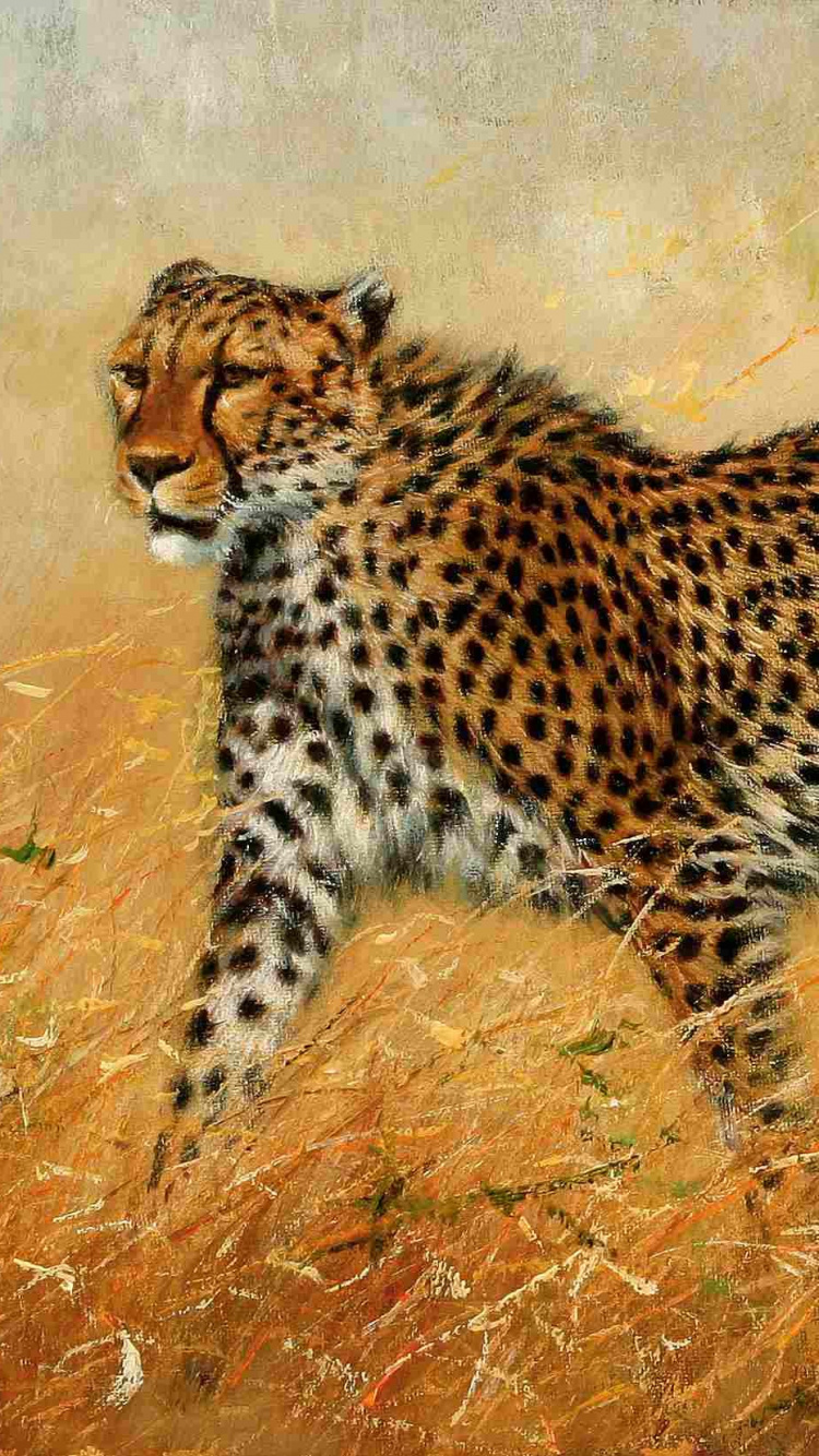 Gepard Auf Braunem Grasfeld Tagsüber. Wallpaper in 750x1334 Resolution