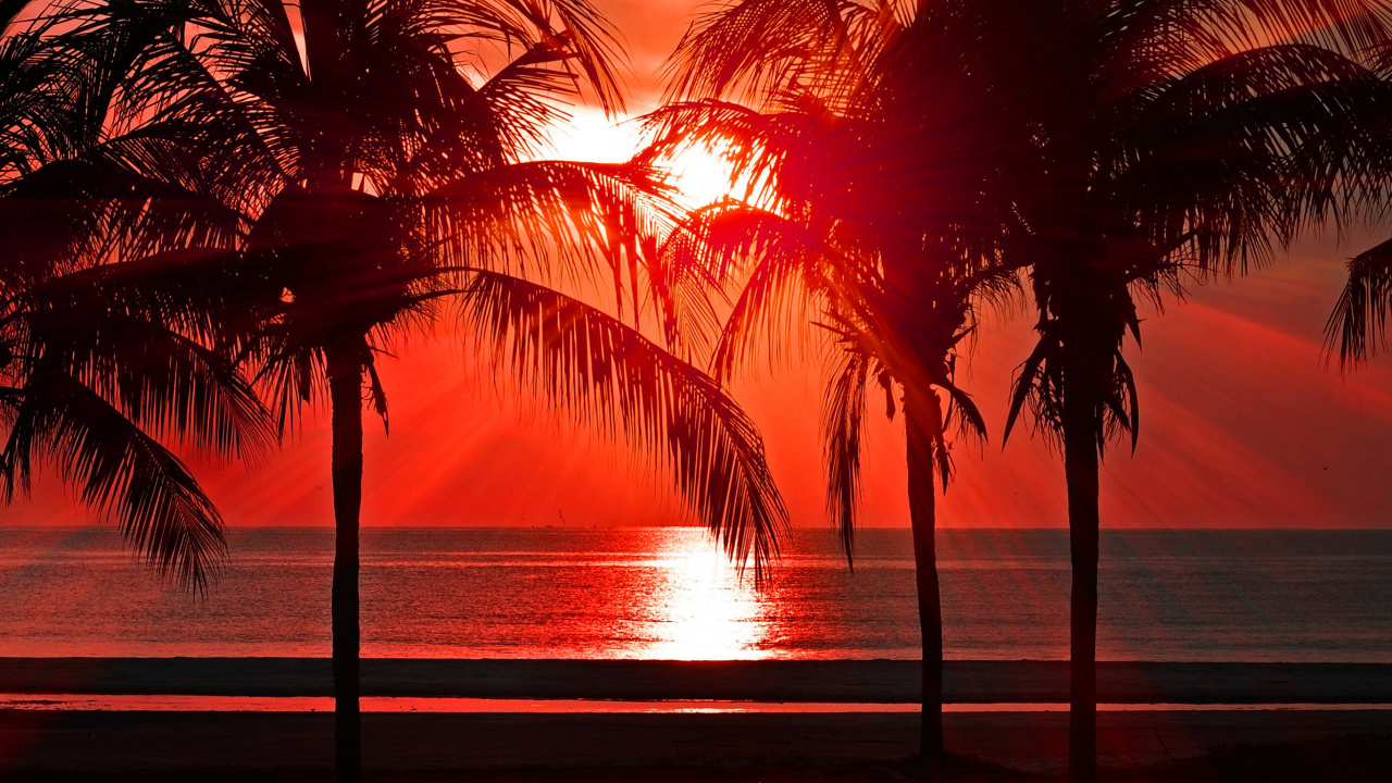 Puesta, Playa, Agua, Afterglow, Atardecer. Wallpaper in 1280x720 Resolution