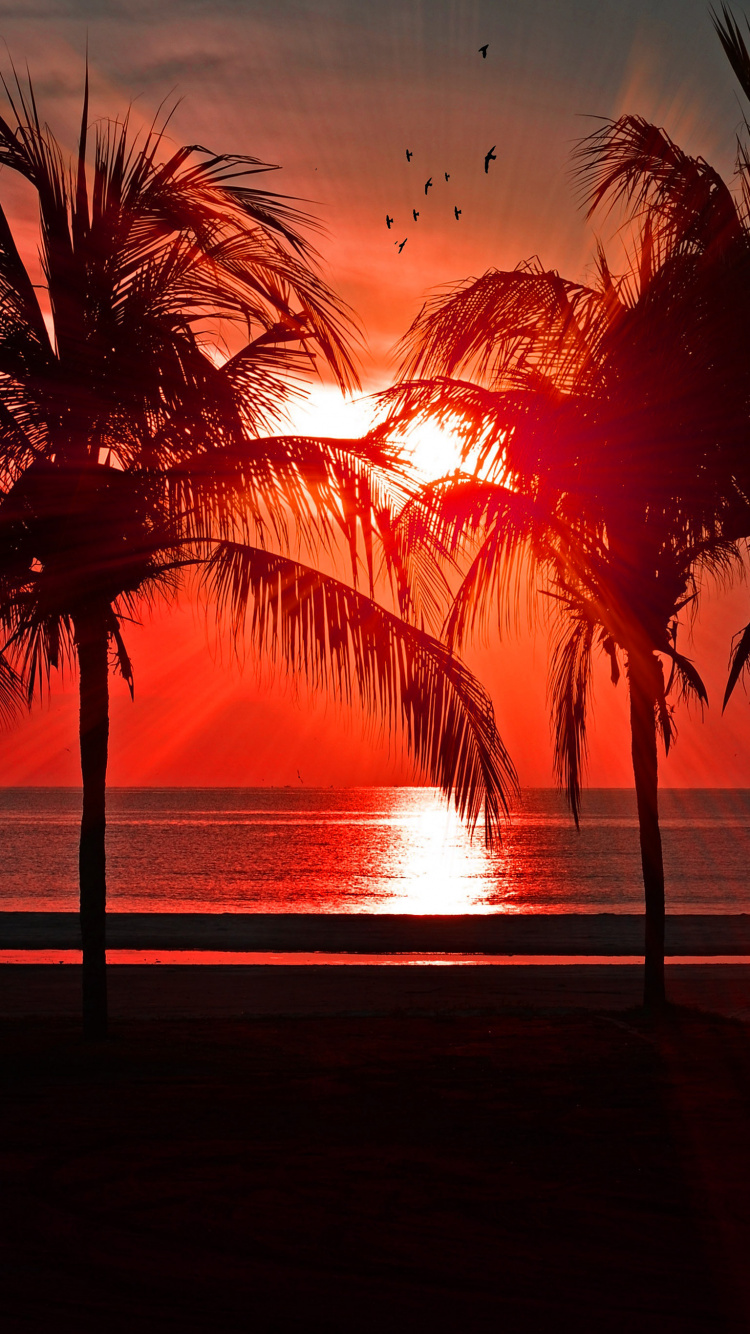 Puesta, Playa, Agua, Afterglow, Atardecer. Wallpaper in 750x1334 Resolution