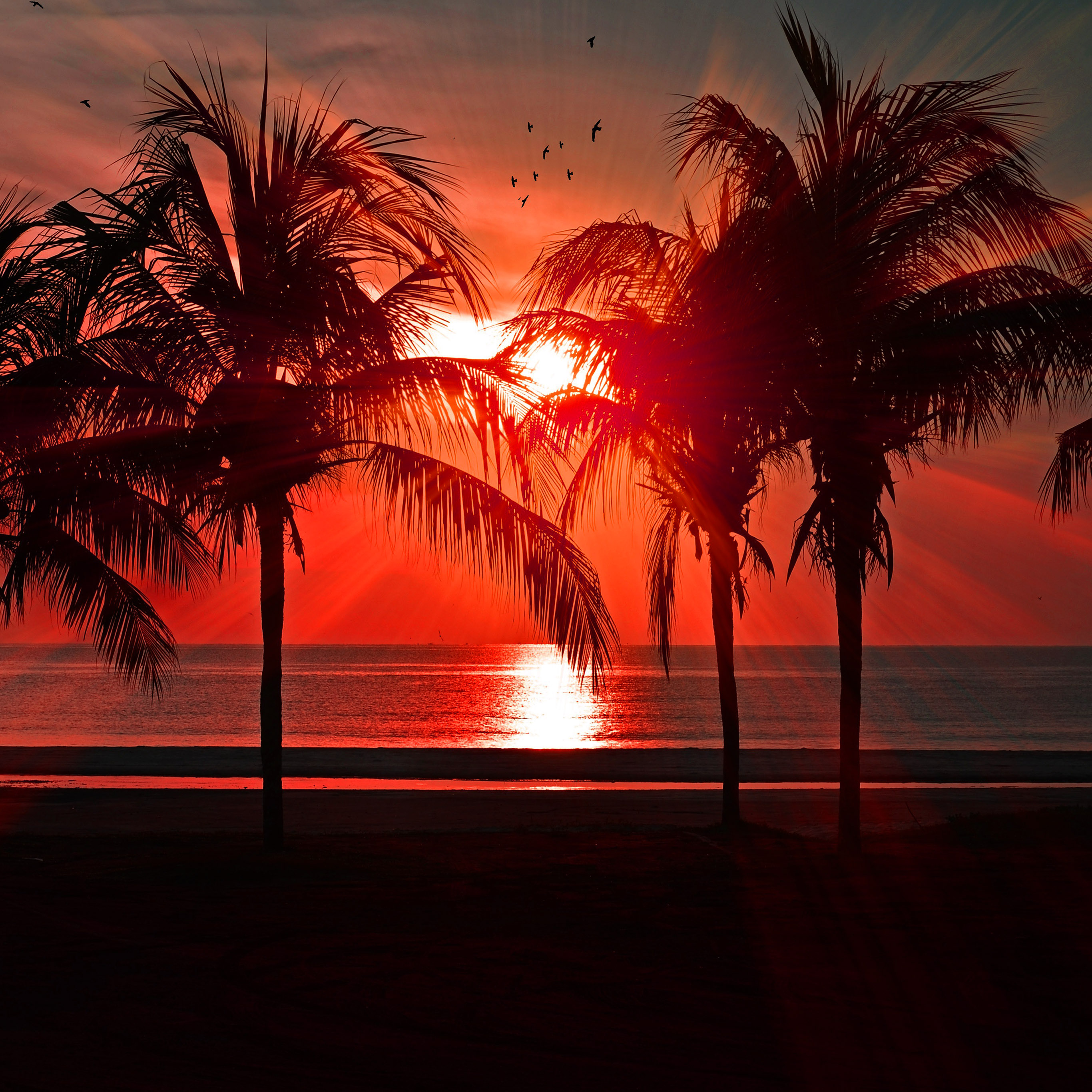 ipad wallpaper sunset beach