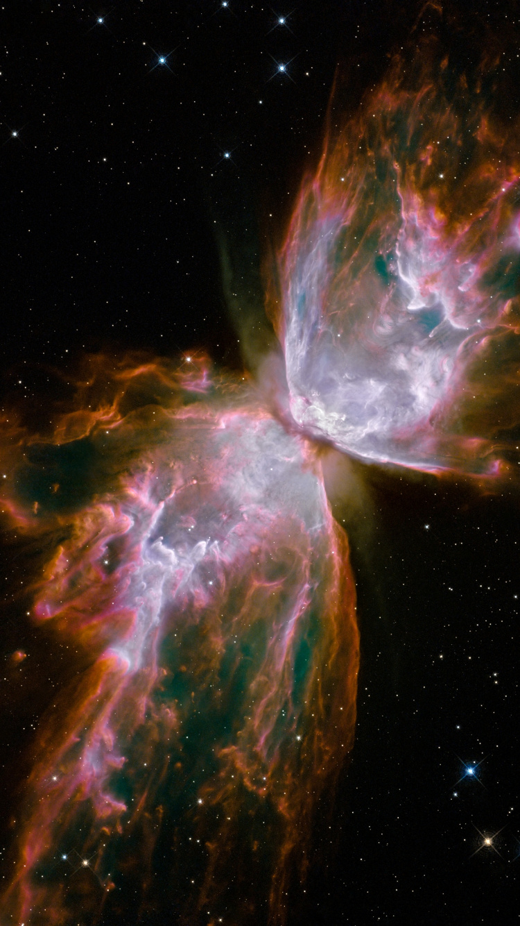 Nebulosa de la Mariposa, Estrella, NGC 6302, la Astronomía, Nebulosa Planetaria. Wallpaper in 750x1334 Resolution