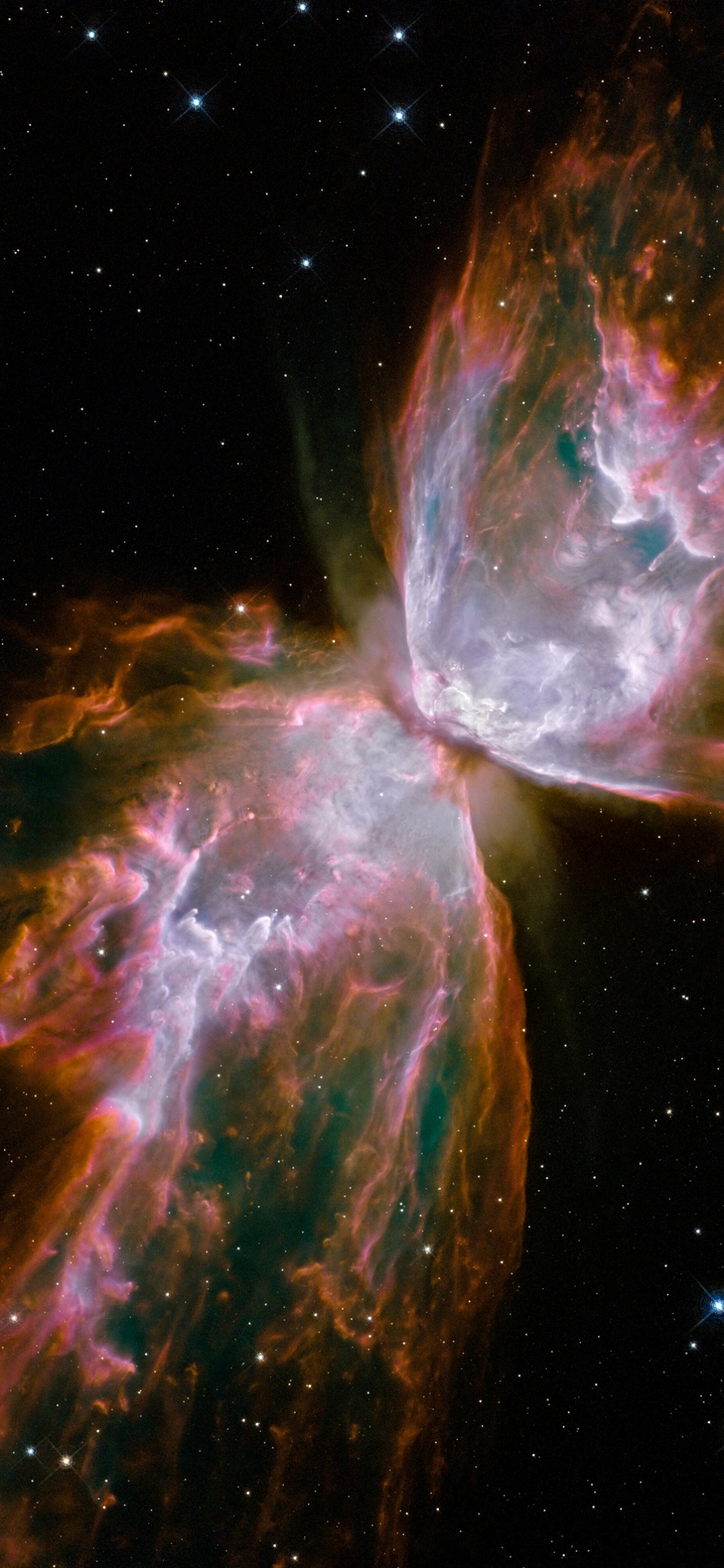 Schmetterlingsnebel, Stern, NGC 6302, Astronomie, Planetarische Nebel. Wallpaper in 1125x2436 Resolution