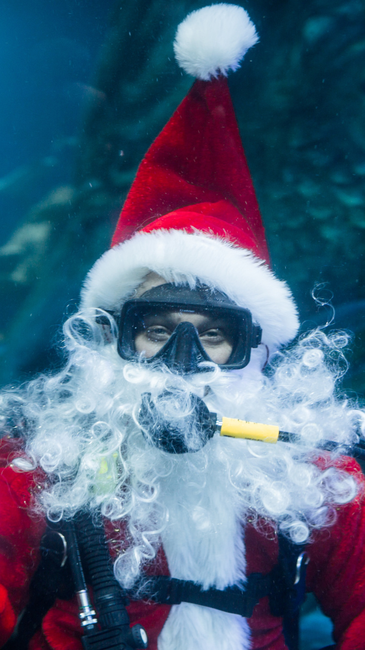 圣诞节, 水下, 生物学, 假日, 海洋 壁纸 750x1334 允许