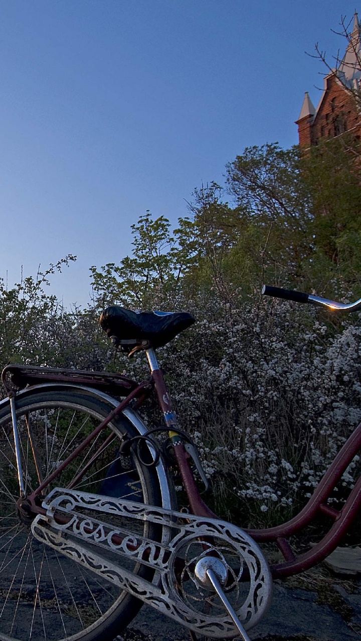 VTT Rouge et Noir Sur Rocher Gris Pendant la Journée. Wallpaper in 720x1280 Resolution