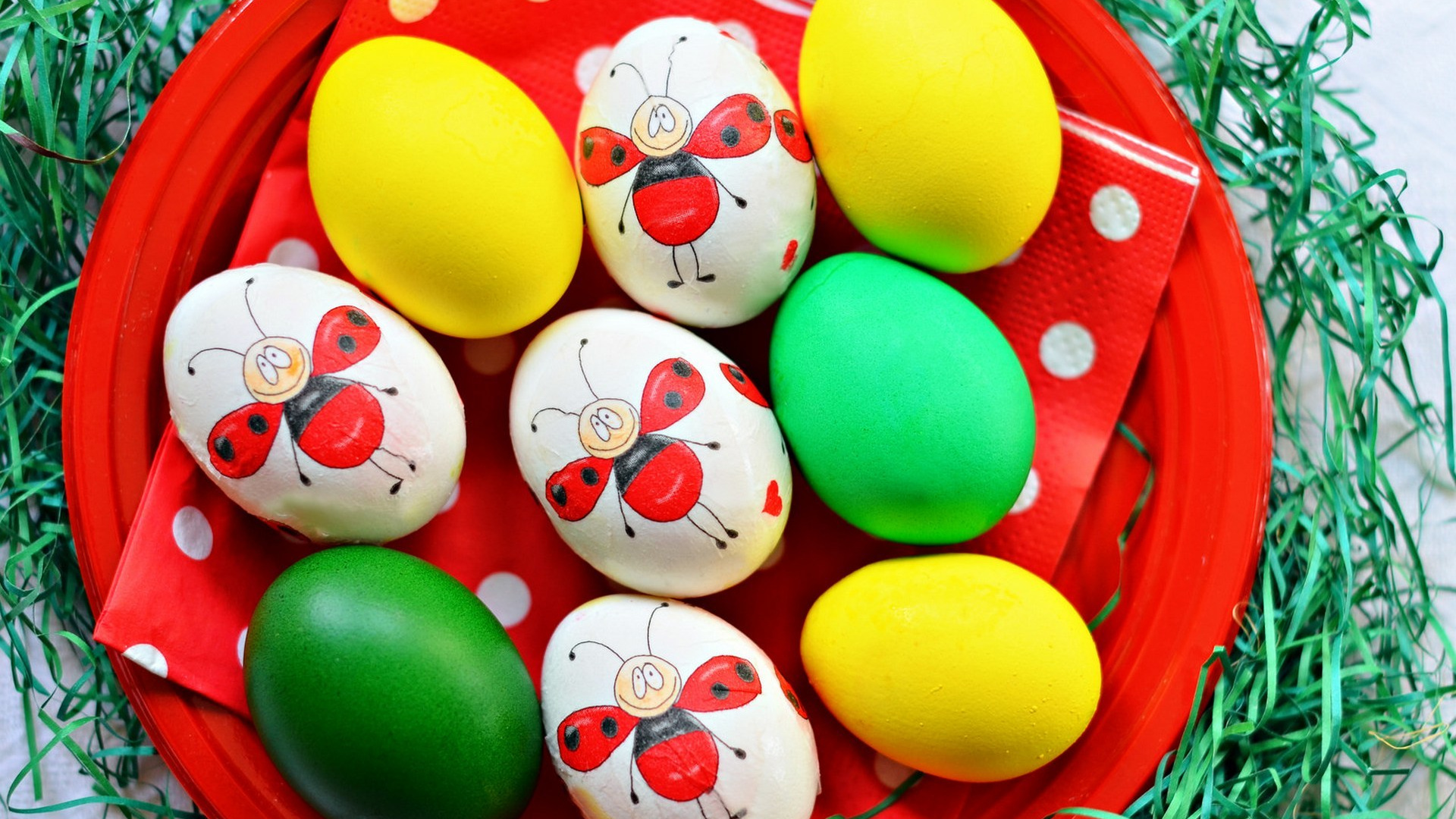 Easter Egg, Egg, Food, Easter, Comfort Food. Wallpaper in 1920x1080 Resolution