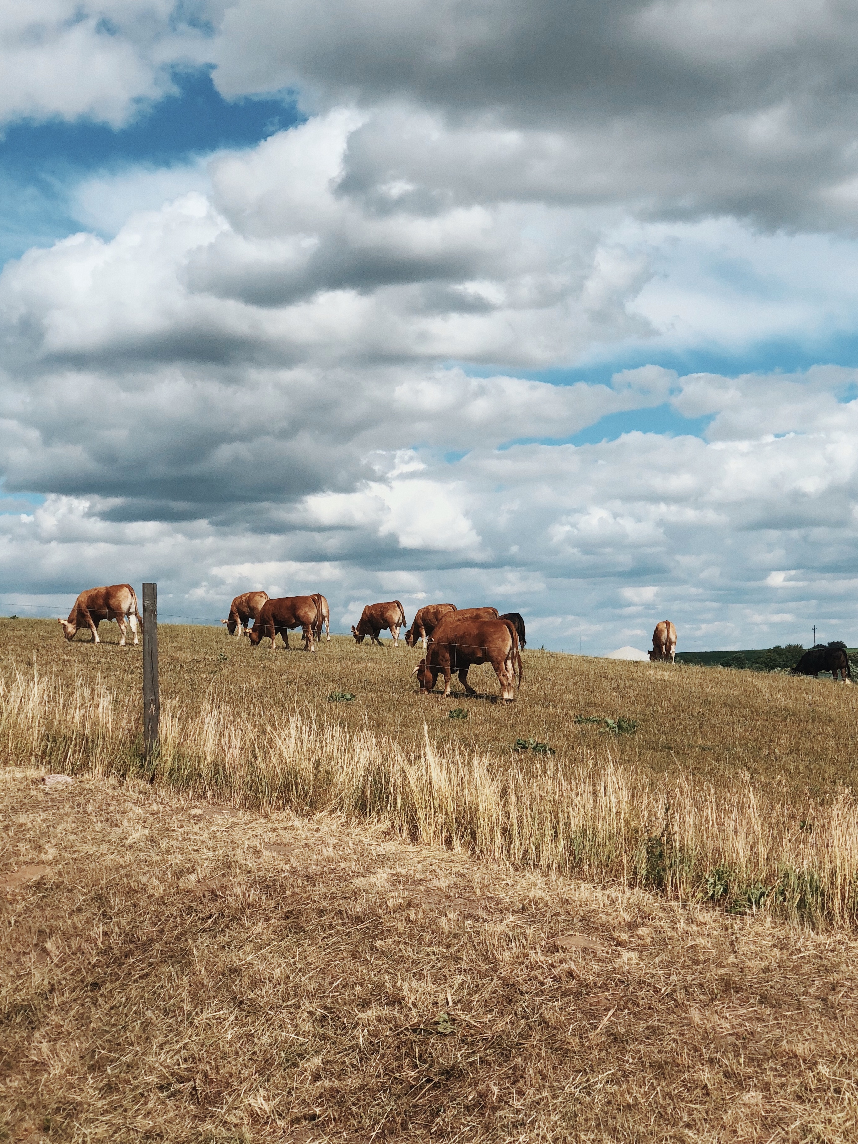 fondo de pantalla de granja hd