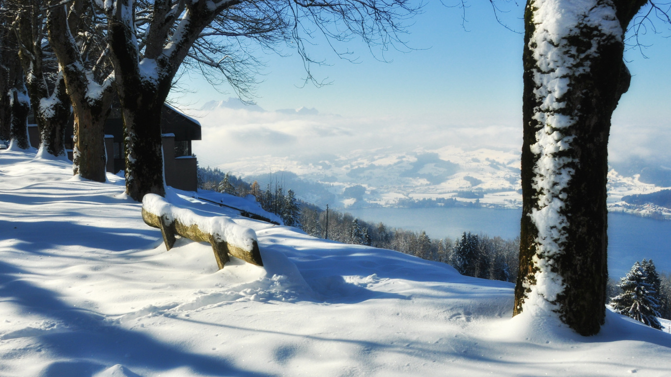 Bare Tree on Snow Covered Ground During Daytime. Wallpaper in 1366x768 Resolution